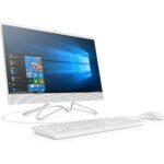 HP 24 inch Foxx CORE
