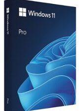 windows 11 pro